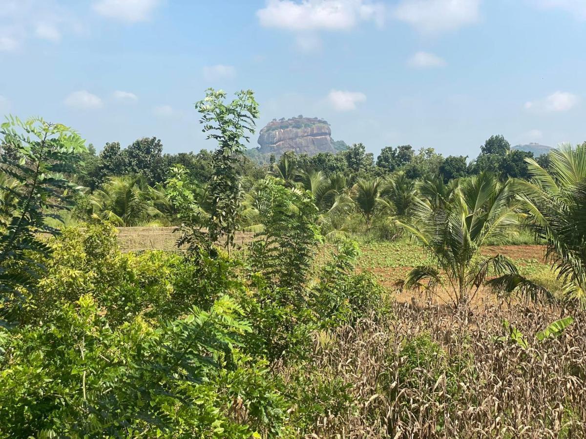 Chena Huts Eco Resort Sigiriya Luaran gambar