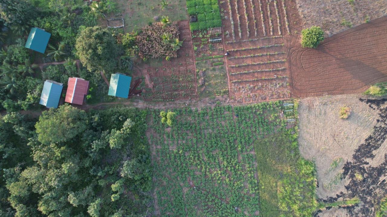 Chena Huts Eco Resort Sigiriya Luaran gambar