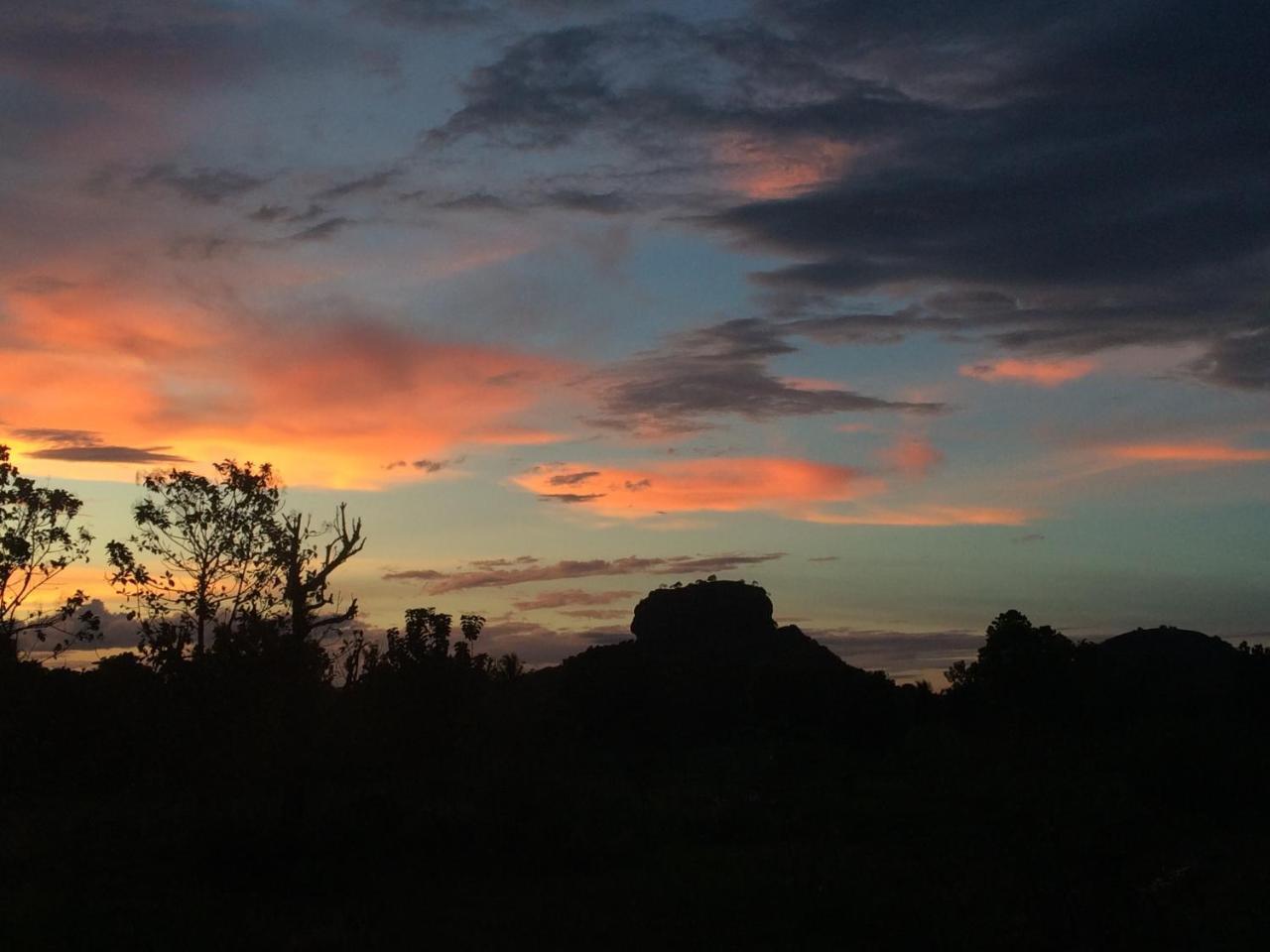 Chena Huts Eco Resort Sigiriya Luaran gambar